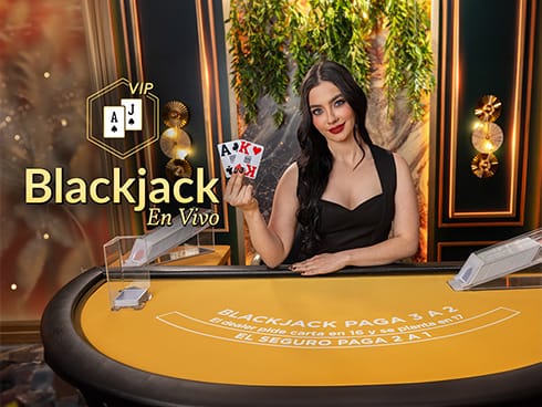 VIP Blackjack en Español 5 icon